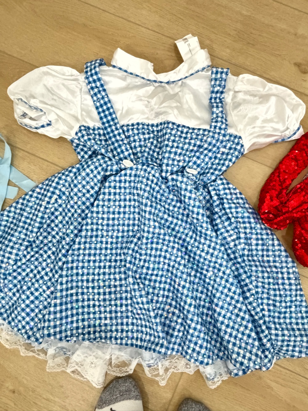 Dorothy Wizard of Oz Halloween Costume